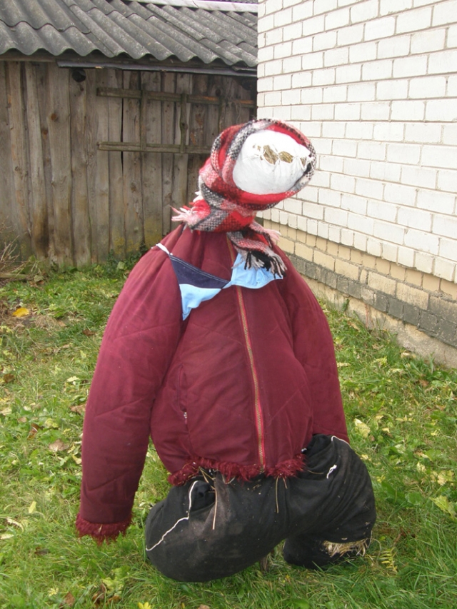 Kaime siaučiantys „bildukai“ prie sodybos langų patupdė šią žmogaus formų baidyklę. A.Minkevičienės nuotr. Kaime siaučiantys „bildukai“ prie sodybos langų patupdė šią žmogaus formų baidyklę. A.Minkevičienės nuotr.