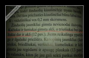 demotyvacija.lt nuotr.