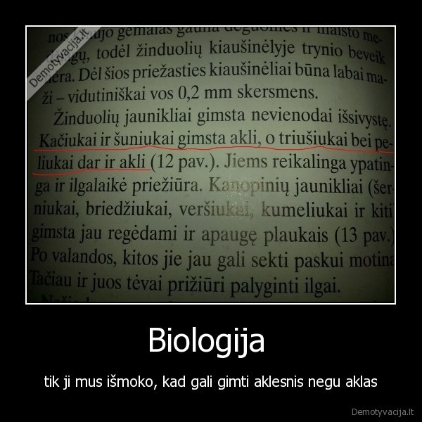 demotyvacija.lt nuotr.