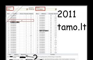 Apmokestina TAMO dienyną demotyvacija.lt nuotr.