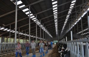 Ekskursija po šalto tipo galvijų fermą Vokietijoje. Tokių fermų yra ir mūsų rajone. V. Andrikaičio nuotr.