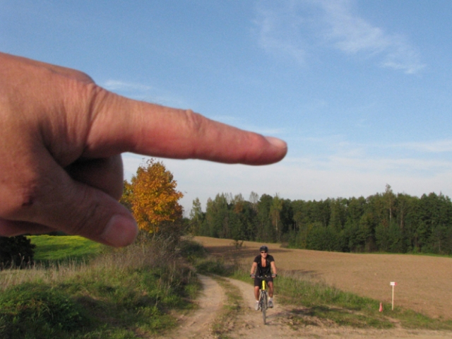 „Gyva“ krypties nuoroda „Gyva“ krypties nuoroda