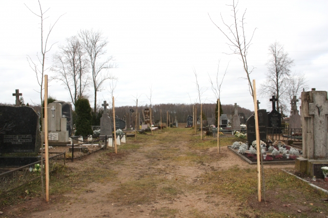 Aštuoniolikos liepaičių alėja kapinėse papiktino vietos gyventojus. D. Zibolienės nuotr.