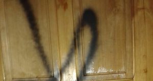 Vėl išterliotos daugiabučio durys