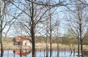 Nutiesus kelią į privačias sodybas kenčia dvaro parkas Dvaro parke vis dar tyvuliuoja polaidžio vanduo. L.Dūdaitės nuotr.