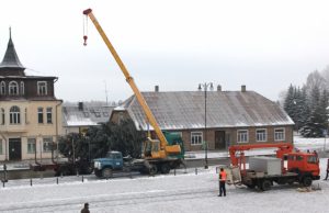 Rokiškio centre pastatyta eglė. D. Zibolienės nuotr.