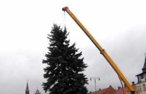 Nepriklausomybės aikštėje pastatyta šventinė eglė. D.Zibolienės nuotr.