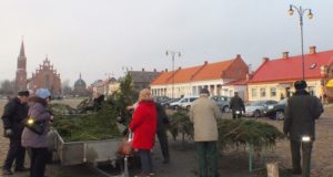 Rokiškio miškininkai kasmet  nepriklausomybės aikštėje dalija šakas.