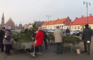 Rokiškio miškininkai kasmet  nepriklausomybės aikštėje dalija šakas.