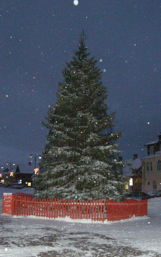 Greitai rokiškėnai atsisveikins su gražuole kalėdine egle. D.Zibolienės nuotr. Greitai rokiškėnai atsisveikins su gražuole kalėdine egle. D.Zibolienės nuotr.