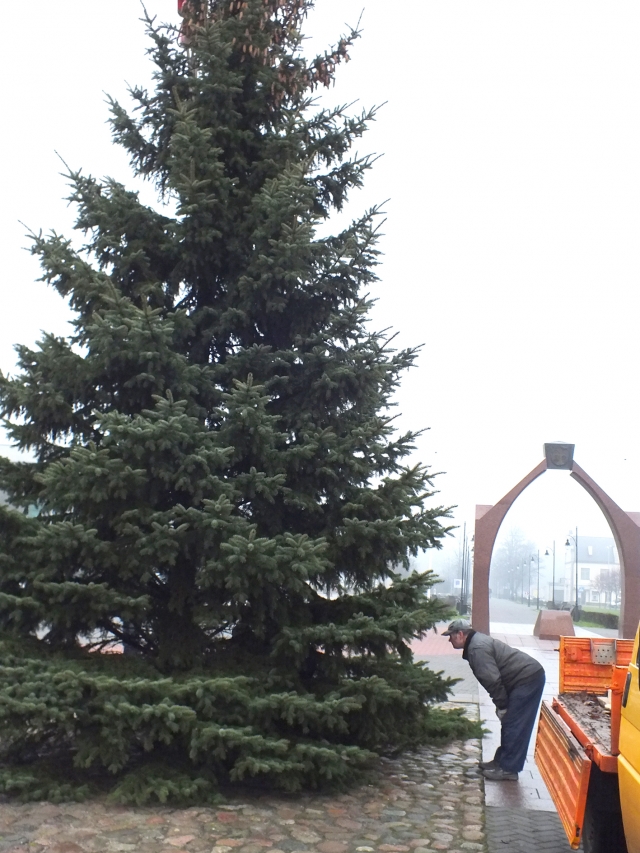 Gruodžio 3 d. planuojama įžiebti šią žaliaskarę. N.Byčkovskio nuotr.