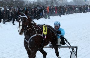 Žirgų lenktynių gerbėjus išbaidė nepalankus oras Didįjį žiemos prizą laimėjo Estijai atstovavęs suomis Vladimiras Mummas su žirgu S:T Thomas