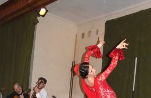 Mokslininkai iš pasaulio renkasi griūvančiame Salų dvare Salų dvare - ispaniškasis flamenko. R. Milaknienės nuotr.