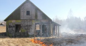 Liepsnojo nedidelis pievos plotas šalia apleisto medinio namo.