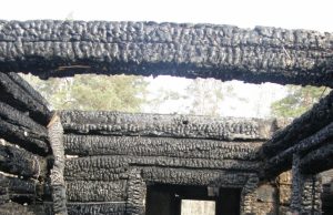 Asociatyvi nuotr.