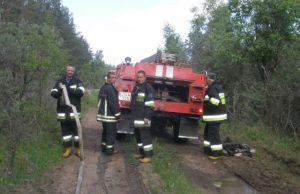 Prieš kelis metus prie Prūselių kaimo karjero žmogaus sukeltas gaisras likviduotas laiku: ugnis suniokojo kelis arus pušyno jaunuolyno. A.Minkevičienės nuotr.