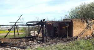 Iš ūkinio pastato teliko jo molinės sienos. A.Minkevičienės nuotr.