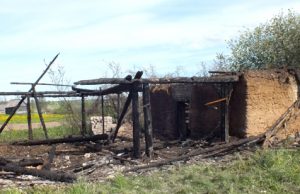 Iš ūkinio pastato teliko jo molinės sienos. A.Minkevičienės nuotr.