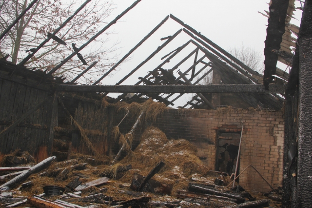 Sudegusi daržinė. D. Zibolienės nuotr.