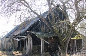 Ugnis suniokojo dalį seno ūkinio pastato. D. Zibolienės nuotr.