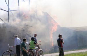 Vagies žmonės mažiau bijo nei ugnies: pastaroji naikina viską. D.Zibolienės nuotr.