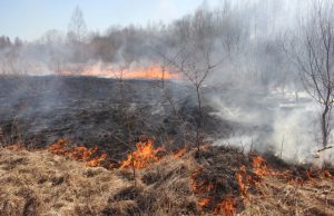 Redakcijos archyvo nuotr.