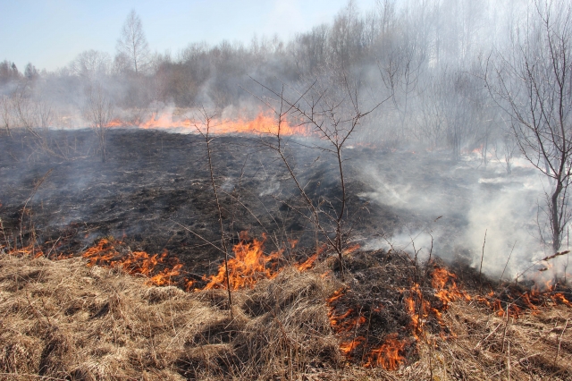 Redakcijos archyvo nuotr.