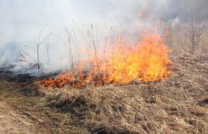 Žolės ir sodo bei daržo atliekų deginimas gali užtraukti didelių nemalonumų. Redakcijos archyvo nuotr.