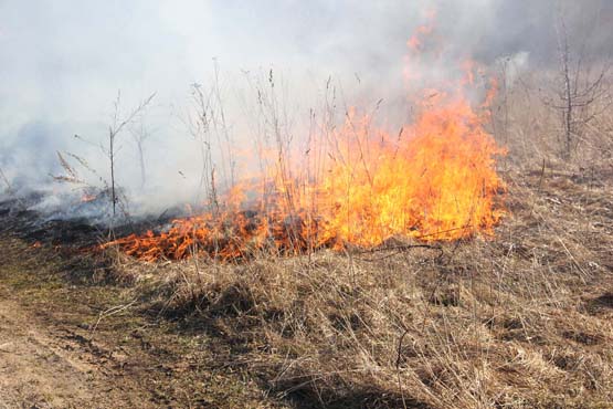 Žolės ir sodo bei daržo atliekų deginimas gali užtraukti didelių nemalonumų. Redakcijos archyvo nuotr.