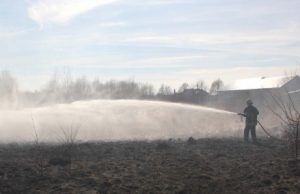 Redakcijos archyvo nuotr.