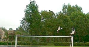 Rokiškio futbolo klubo vadovas Erikas Gaigalas spėjo nufotografuoti gandrus.