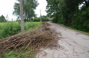 Tik po žmonių skundų komunalininko bendrovė įsipareigojo  šias šakas išgabenti. D.Zibolienės nuotr.