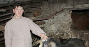 Martynas Rimka kruopščiai šeria savo augintines – ožkas. D.Zibolienės nuotr.