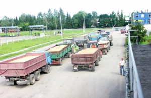 Grūdų verslo grimasos: lietuviškos sėklos sugrįžtuvės ir grūdų kainų pasiutpolkė Tokios technikos eilės prie grūdų supirkėjų rikiavosi pernai