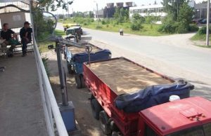 Prasidėjus javapjūtei prie „Rokiškio grūdų“ elevatoriaus didelių eilių nebuvo. D.Zibolienės nuotr.