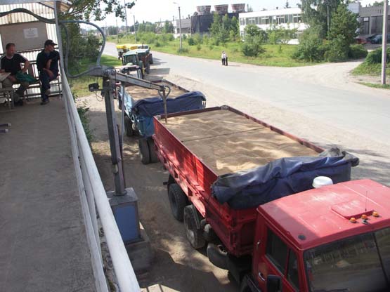 Prasidėjus javapjūtei prie „Rokiškio grūdų“ elevatoriaus didelių eilių nebuvo. D.Zibolienės nuotr.