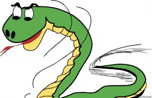 Juodosios vandens gyvatės metai