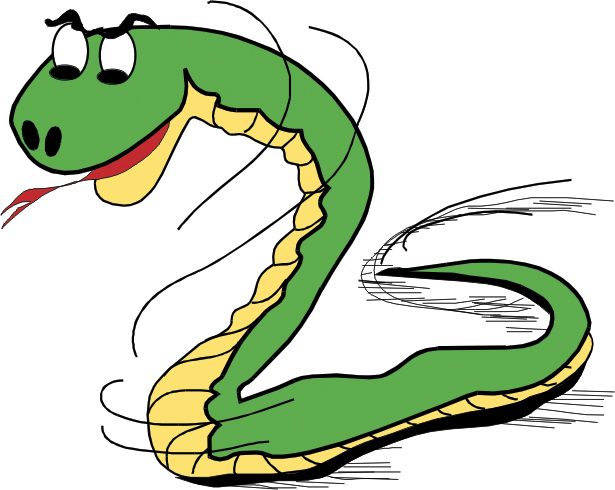 Juodosios vandens gyvatės metai