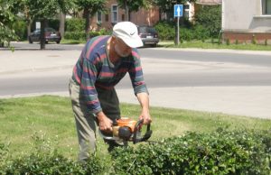 Pagal gyvatvorę ir pjūklas. L.Dūdaitės nuotr.