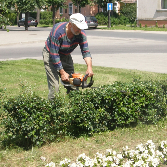 Pagal gyvatvorę ir pjūklas. L.Dūdaitės nuotr.