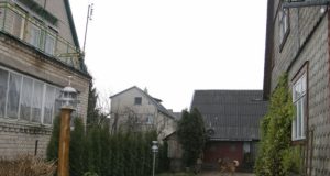 Keršto išpuolis išgąsdino sutuoktinius: palei jų sodybos tujų gyvatvorę pripilta gyvsidabrio. A.Minkevičienės nuotr.