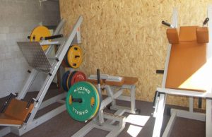 Panevėžio apskrityje oficialios sporto klubų paslaugos teikiamos tik Panevėžio ir Rokiškio miestuose. D.Zibolienės nuotr.