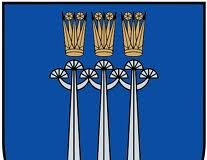 Tik 7 šalies savivaldybės įgyvendino Europos Sąjungos lėšomis remiamus vandentiekio ir nuotekų tinklų plėtros projektus. Tarp jų -  Druskininkai (herbas). O mūsų rajonas?