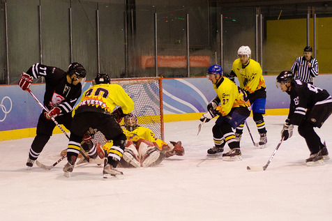 Juodupėnai (šviesi apranga) ginasi. J. Mižutavičiūtės nuotr. Juodupėnai (šviesi apranga) ginasi. J. Mižutavičiūtės nuotr.