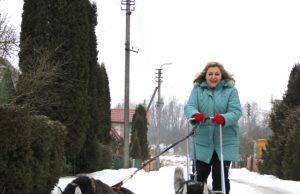 Vilmą Likienę rogėmis tempia Meška ir Spaikas.