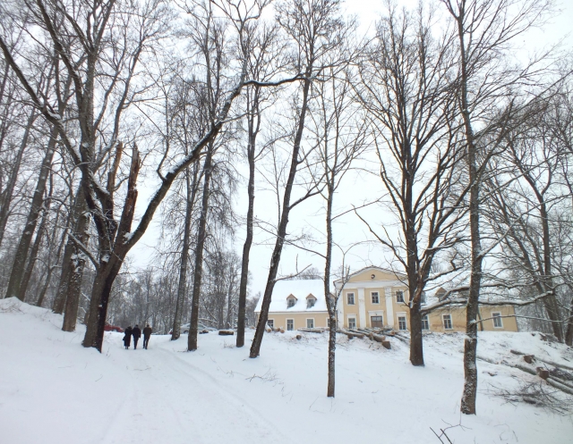 Iškirtus dalį medžių