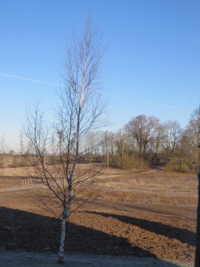 A. Mackuvienės nuotr. A. Mackuvienės nuotr.