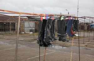 Pirmojo šiųmečio turgaus pirkėjus išgąsdino ne tik euras Turguje žmonių mažai... D. Zibolienės nuotr.