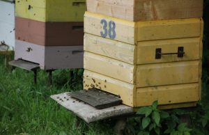 Šiųmetė vasara nelepina nei poilsiautojų