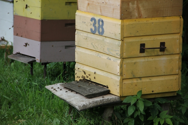 Šiųmetė vasara nelepina nei poilsiautojų